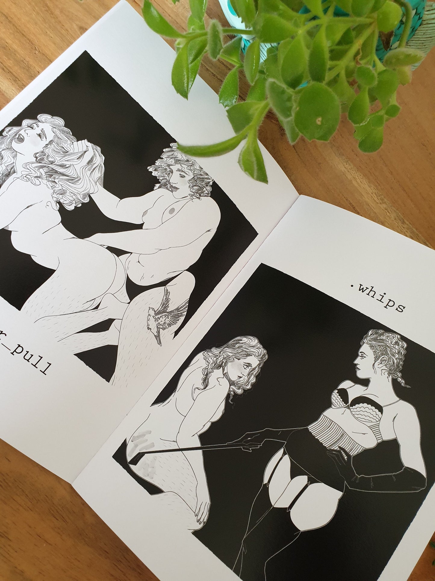 SALT Double Zine
